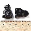 Natural Obsidian Carved Figurines DJEW-L023-B26-3