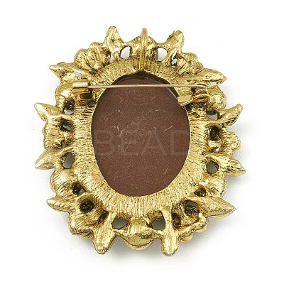 Alloy Rhinestone Brooch for Clothes Backpack JEWB-Q030-52AG-1