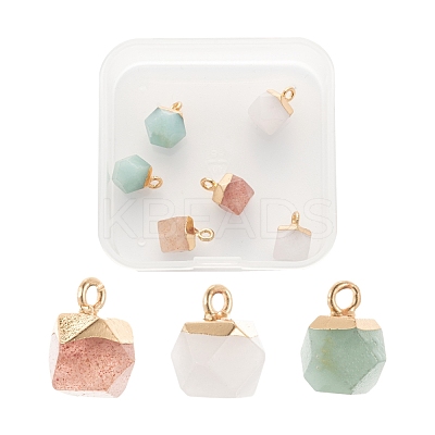 6Pcs 3 Style Electroplate Natural Gemstone Charms G-FS0001-39-1