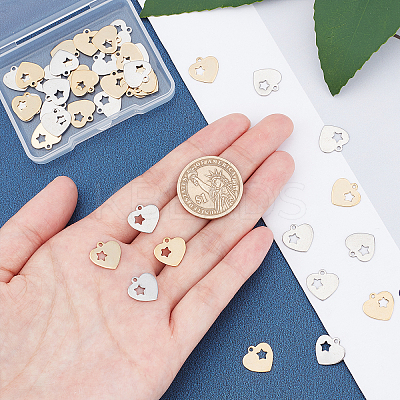 304 Stainless Steel Charms STAS-UN0019-21-1