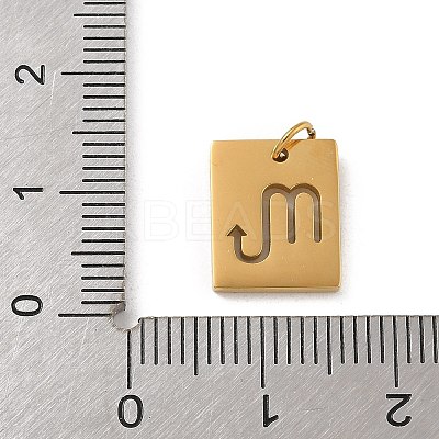 304 Stainless Steel Charms LS-STAS-R001-03G-08-1