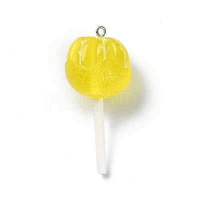 Translucent Resin Imitation Food Pendants RESI-R435-02C-1