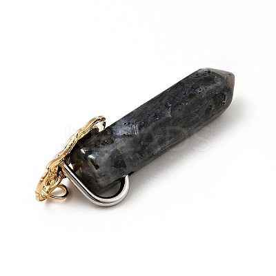 Insect Natural Labradorite Pointed Pendants G-I333-02D-1