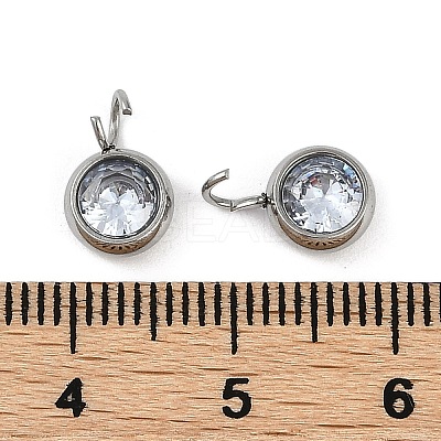 304 Stainless Steel Micro Pave Cubic Zirconia Charms STAS-Z094-02P-01-1