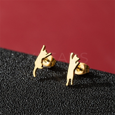 Stainless Steel Stud Earrings PW-WG95520-21-1