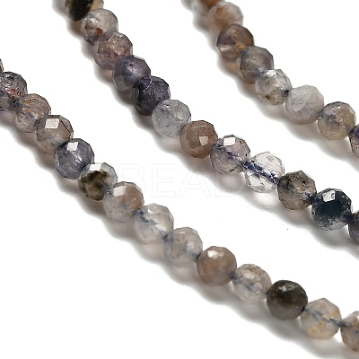 Natural Iolite Beads Strands G-RM2025-22-3mm-1