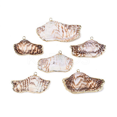 Natural Sea Shell Big Pendants with Golden Brass Edge & Iron Loops BSHE-T014-21-1
