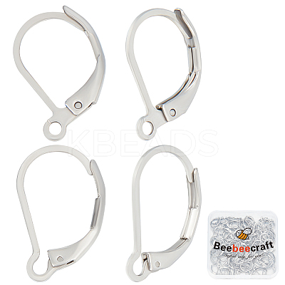 100Pcs 2 Style 304 Stainless Steel Leverback Earring Findings STAS-BBC0004-16-1