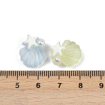 Frosted Transparent Resin Enamel Beads RESI-L047-24-1
