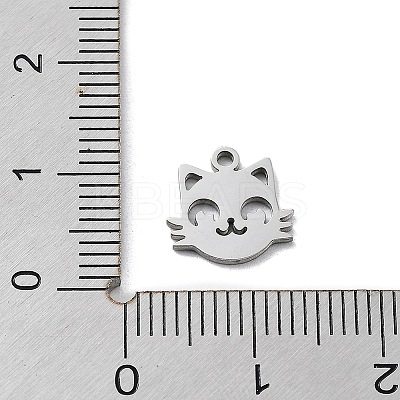 Non-Tarnish 304 Stainless Steel Charms STAS-K272-01B-P-1