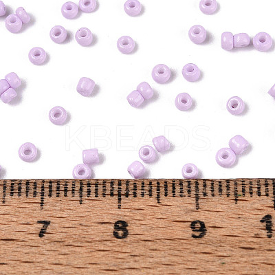 12/0 Baking Paint Glass Round Seed Beads SEED-S036-01A-08-1