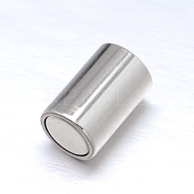 Tarnish Resistant 304 Stainless Steel Magnetic Clasps with Glue-in Ends STAS-M200-C-01-1