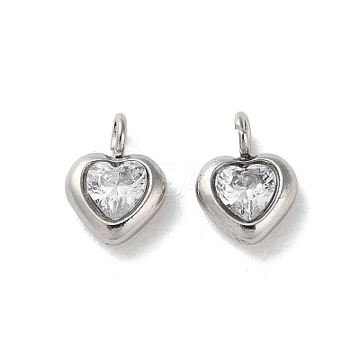 304 Stainless Steel Micro Pave Cubic Zirconia Pendants STAS-L022-396B-P-1