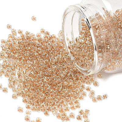 MIYUKI Round Rocailles Beads SEED-G008-RR0234-1