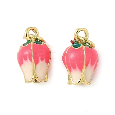 Brass Enamel Charms KK-C110-17A-01G-1