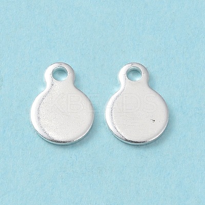 304 Stainless Steel Charms STAS-L234-044S-1