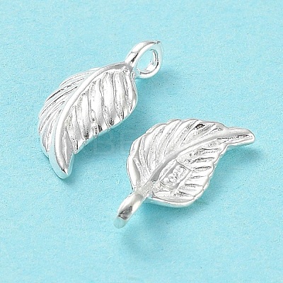 925 Sterling Silver Charms STER-E069-01S-1