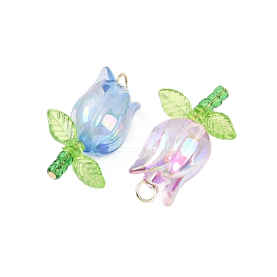 Acrylic Pendants PALLOY-JF03535-01-1