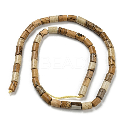 Natural Picture Jasper Beads Strands G-Q1008-A11-1