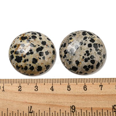 Natural Dalmatian Jasper Cabochons G-C115-02B-21-1