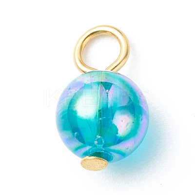 Transparent Acrylic Charms PALLOY-JF01813-1