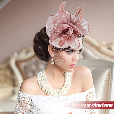 Feather Flower Mesh Veil Headband MRMJ-WH0077-121-1