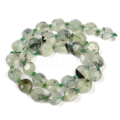 Natural Prehnite Beads Strands G-C116-A19-01-1