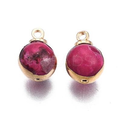 Natural Regalite/Imperial Jasper/Sea Sediment Jasper Charms G-T111-11E-1