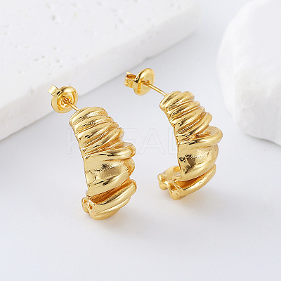 Irregular 304 Stainless Steel Twisted Stud Earrings for Women FC7299-1