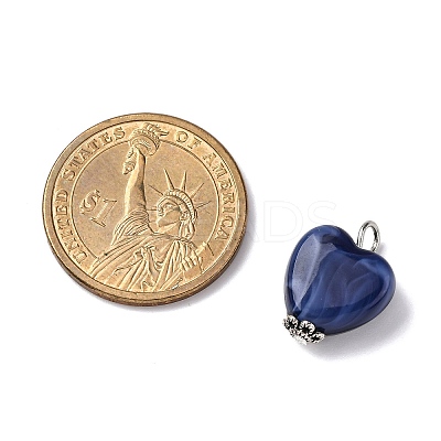 Acrylic Imitation Gemstone Style Pendants PALLOY-JF03511-1