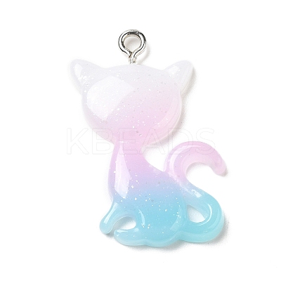 Translucent Resin Pendants RESI-G069-03B-1