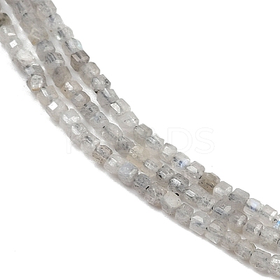 Natural Labradorite Beads Strands G-RM241221-K22-1