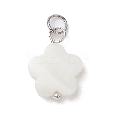 12Pcs 12 Styles Natural Freshwater Shell Big Pendants Set PALLOY-JF02079-1
