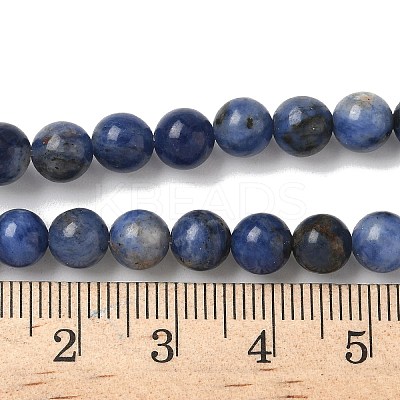 Natural Sodalite Beads Strands X-G-G515-6mm-07-1