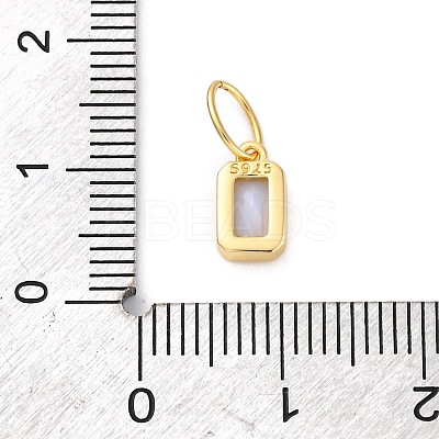 925 Sterling Silver Cubic Zirconia Charms STER-NH0014-01G-06-1