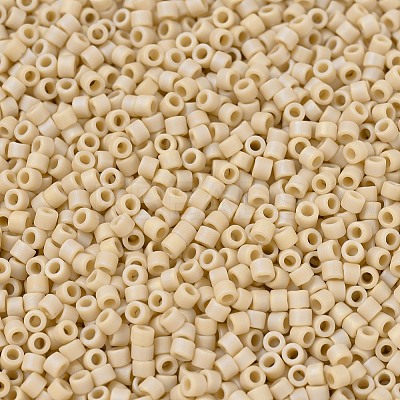 MIYUKI Delica Beads SEED-X0054-DB1591-1
