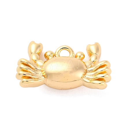 Brass Pendants KK-E793-26G-1