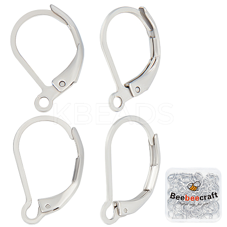 100Pcs 2 Style 304 Stainless Steel Leverback Earring Findings STAS-BBC0004-16-1