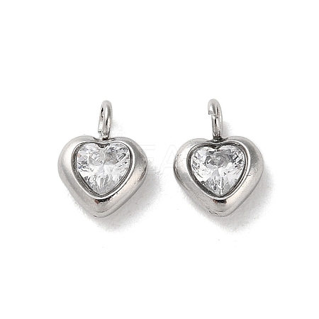 304 Stainless Steel Micro Pave Cubic Zirconia Pendants STAS-L022-396B-P-1