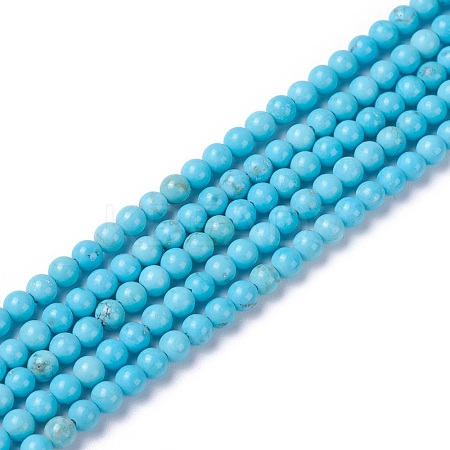 Natural Magnesite Beads Strands G-G786-01B-1