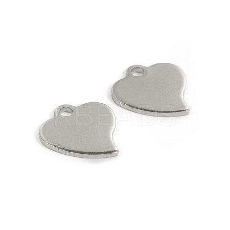 304 Stainless Steel Charms STAS-D431-28-1