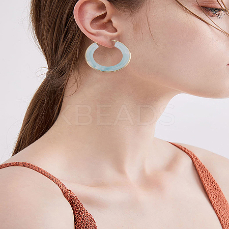 1 Pair Stylish Stainless Steel Fever Hoop Earrings EJEW-LP0011-05B-1