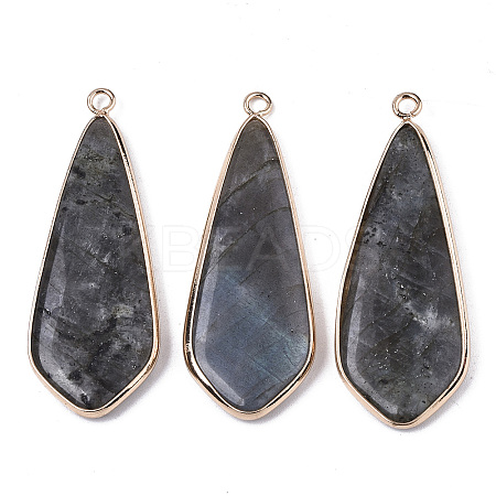 Natural Labradorite Pendants X-G-S359-108A-1