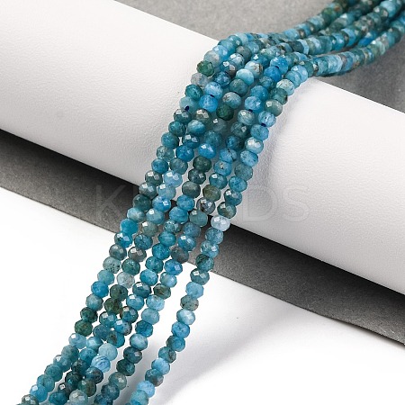 Natural Apatite Beads Strands X-G-F770-D09-02B-1