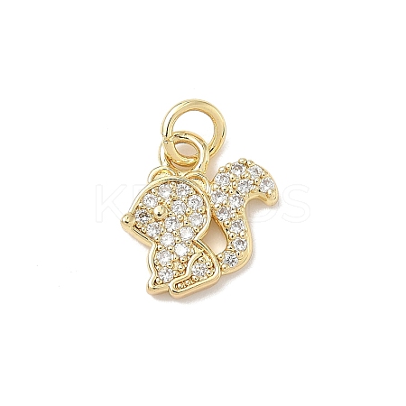 Brass Micro Pave Cubic Zirconia Charms ZIRC-I356-15G-02-1