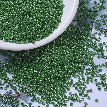 MIYUKI Round Rocailles Beads SEED-X0054-RR0431-1