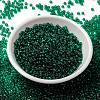 MIYUKI Round Rocailles Beads X-SEED-G008-RR0147-2