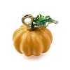 Alloy Enamel Charms ENAM-D303-07G-05-4