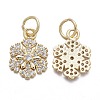 Brass Micro Pave Cubic Zirconia Charms LS-KK-K244-07G-2