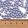 Baking Paint Glass Seed Beads SEED-C004-04I-4